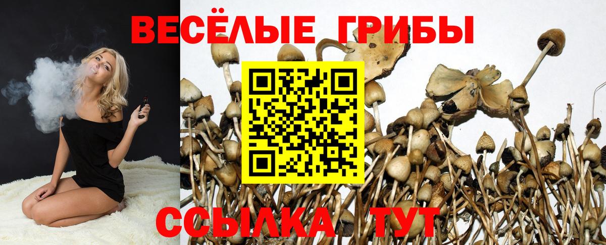 Галлюциногенные грибы GOLDEN TEACHER  где купить наркоту  Керчь  Вход с VPN 