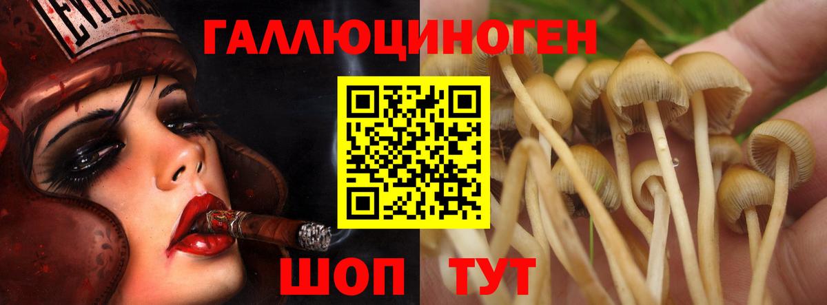Галлюциногенные грибы мухоморы Керчь